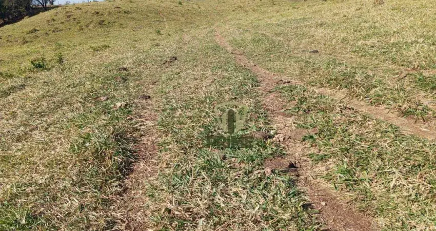 Sítio à venda em Bela vista do Paraiso no Paraná. Com 13 alqueires, 08 km da cidade, Mangueira, Todo em pasto.  R$ 2.000.000,00 - Em três pagamentos,