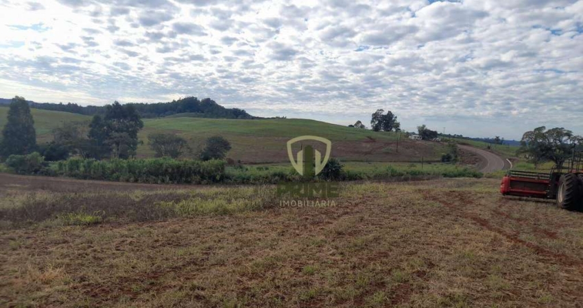 Fazenda à venda em São Miguel do Oeste em Santa Catarina.    - Com 530 alqueires, sendo 6 matrículas, 130 alqueires de plantio hoje e abre mais 80 à 1