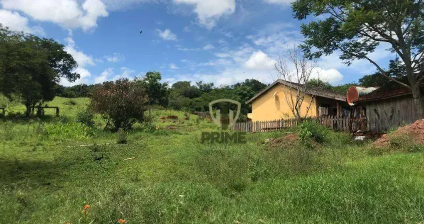 Fazenda à venda em Sabáudia no Paraná.   - Com 137 alqueires