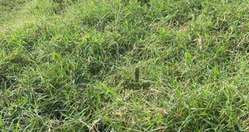 Fazenda à venda em Rio Branco do Ivaí - Paraná.   - Com 111 alqueires sendo 34 alqueires de plantio, restante pasto.