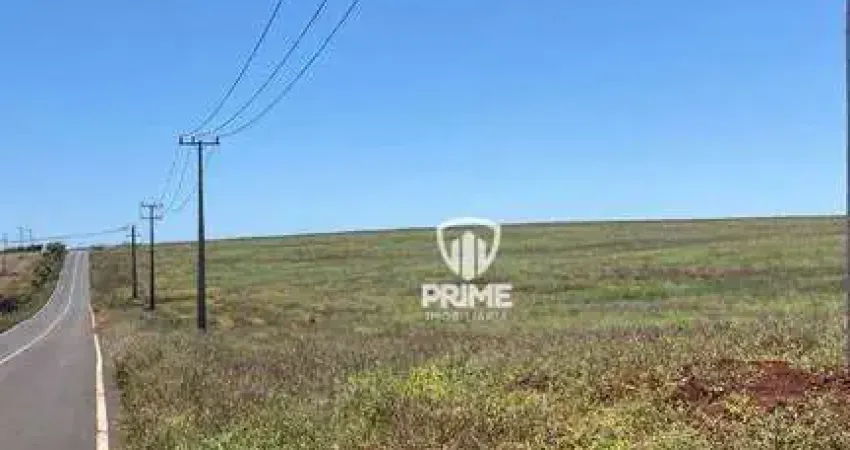 Fazenda à venda em Apucarana no Paraná.  - Com 250 Alqueires, 200 Alqueires de plantio, 30 de reserva e 20 de pasto.