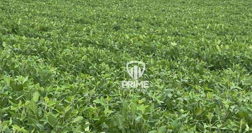 Fazenda à venda em Tomazina- Paraná com 214 alqueires.  - Com 160 alqueires de plantio