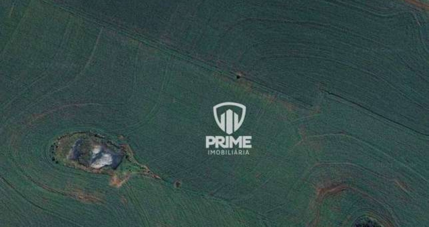 Fazenda à venda em Sertaneja-Paraná.  - Com 150 alqueires, 110 alqueires de plantio, 20% reserva legal.