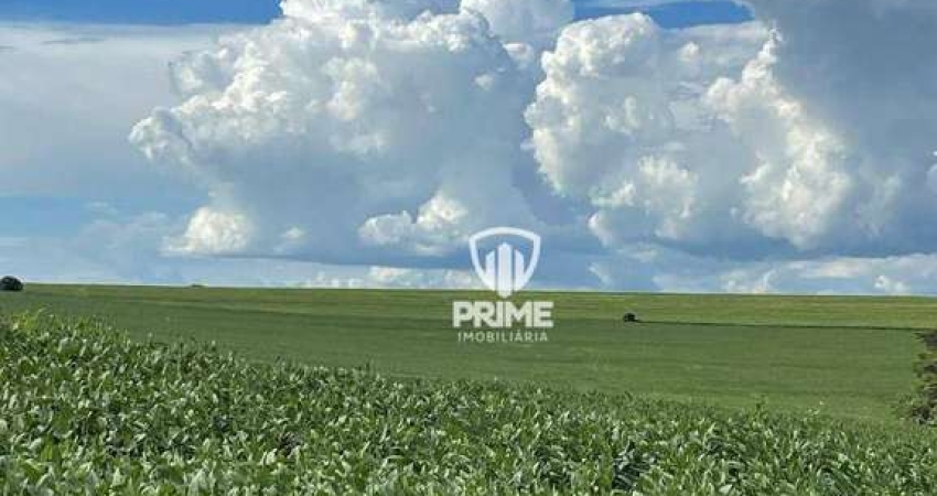 Fazenda à venda em Sertaneja-PR.   - Com 150 alqueiresde plantio a 2 KM do asfalto