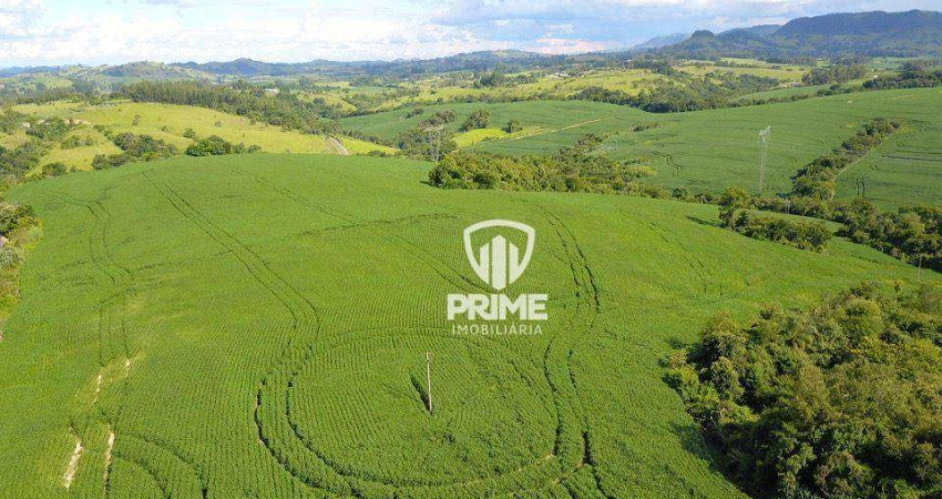 Fazenda à venda em Rosário do Ivaí-PR.   - Com 69 alqueires, sendo 42 de plantio e 2 alqueires para abrir.