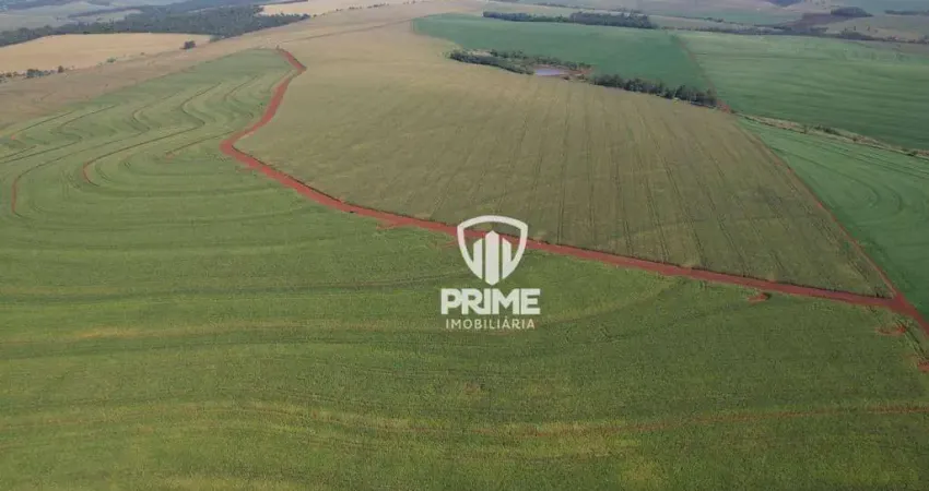 Fazenda à venda em São Martinho - cidade de Rolândia.   - Com 168 alqueires, 147 alquieres de plantio
