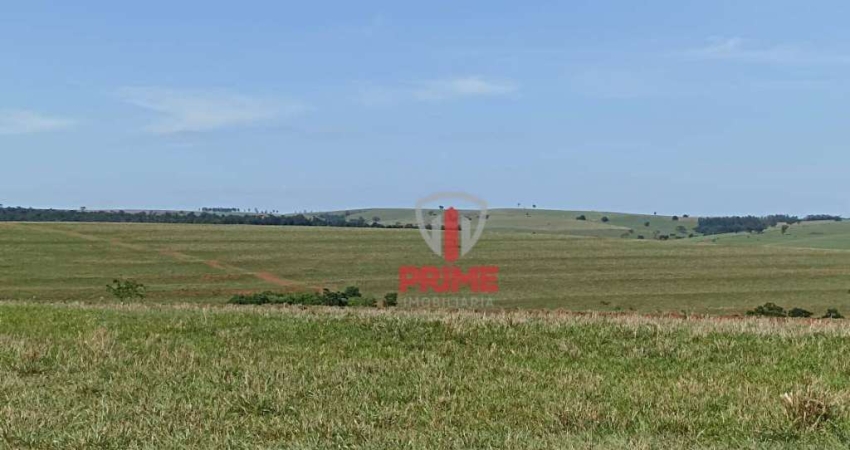Fazenda à venda em Guaraci no Paraná. 4Km do asfalto, recém formada para plantar, boa de água, cercas novas na divisa, cocho de sal, pasto, capim Piat