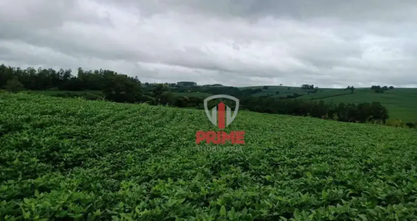 Sítio com 20 alqueires, 14 produzindo, podendo produzir 16.