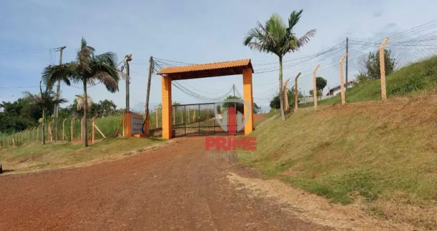 Chácara à venda Zona Rural - Localizada Usina Três Bocas em Londrina.