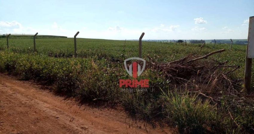 Terreno à venda em Cambé. Rural e industrial, bem localizado, próximo a Sandoz. Testada + ou - 120 metros, contendo área total de 227.480m² = 9,4 alqu