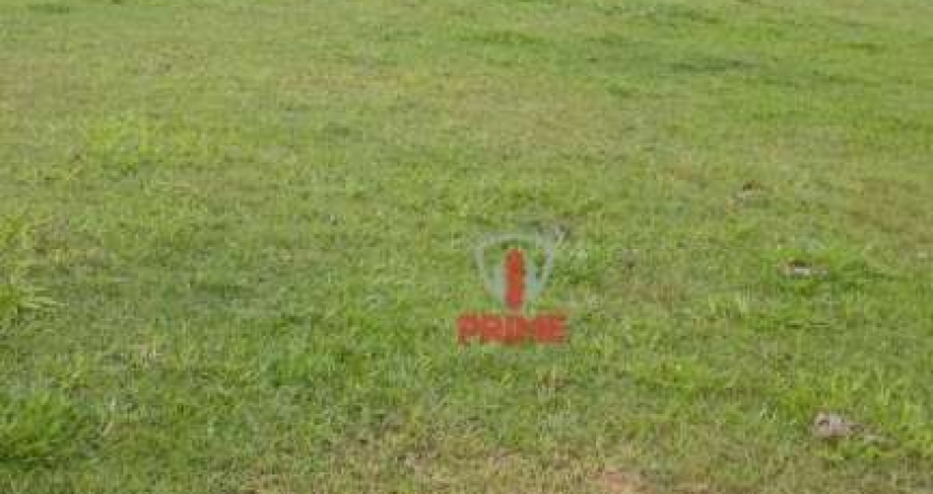 Fazenda à venda em Mauá da Serra no Paraná. Com 110 alqueires, ideal para gado, mecanizada - 30 alqueires, casa sede, mangueira, barracão, corredor de