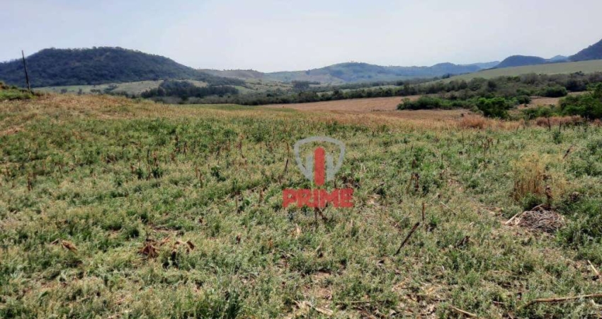 Sítio à venda em Faxinal no Paraná. Com 22 alqueires plantando 17, topografia: leve inclinação. Entrada + 2 pagamentos.