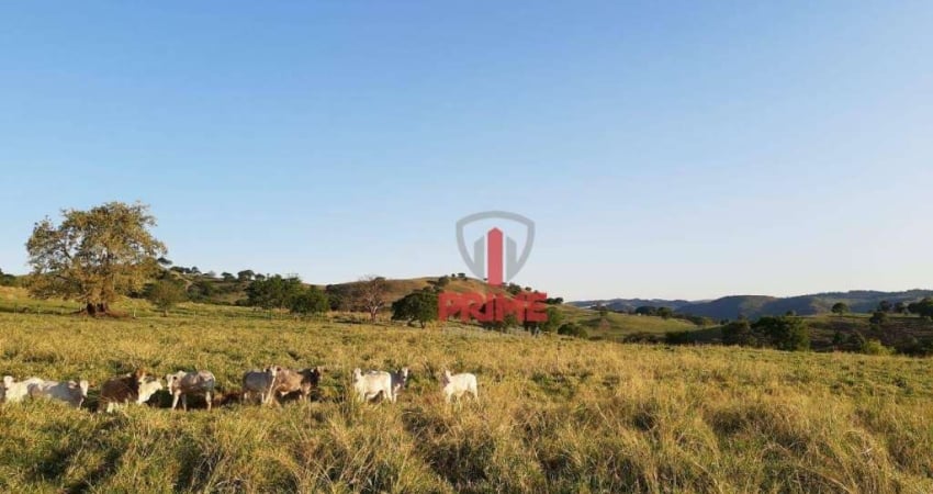 Fazenda em Rio Bom no Paraná. Para pecuária, 20 alqueires de plantio, mangueira, barracão, casa sede.   1 + 2 pagamentos,  R$150.000 o alqueire.