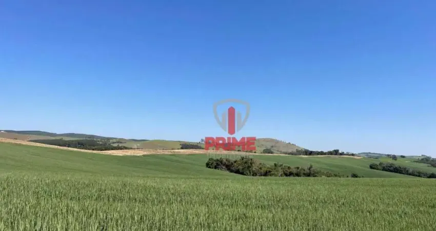 Fazenda à venda em Ortigueira no Paraná.   - Com 81 alqueires de plantio, 15 alqueires de pasto.