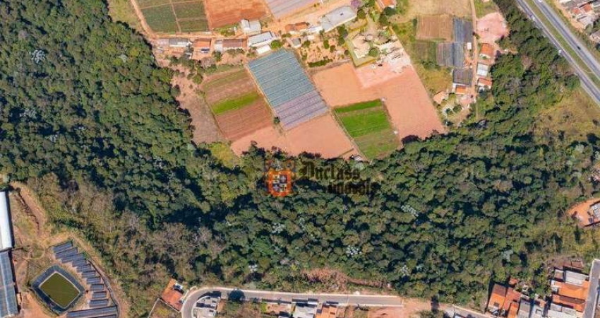 Área à venda, 80798 m² por R$ 10.600.000,00 - Tanque - Atibaia/SP