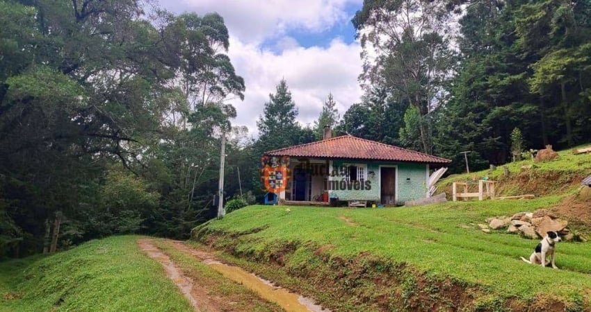 Sítio à venda, 60500 m² por R$ 905.000 - Bom Jardim - Camanducaia/MG