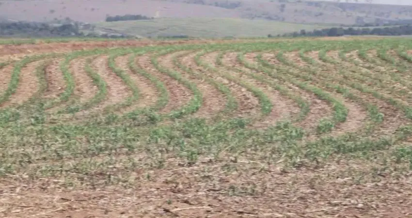 Chácara / sítio com 5 quartos à venda na Área Rural, 100, Centro, Santa Maria da Serra