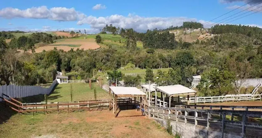 Chácara / sítio com 7 quartos à venda na Rua Bem-te-vi, 100, Campo Verde, Ibiúna