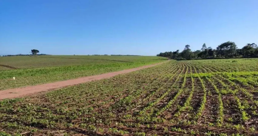 Fazenda com 1 sala à venda na Rua Barbosa Franco, 88, Centro, Itapetininga