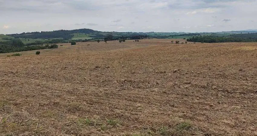 Fazenda com 2 salas à venda na Praça da Bandeira, 100, Área Rural de Itapetininga, Itapetininga