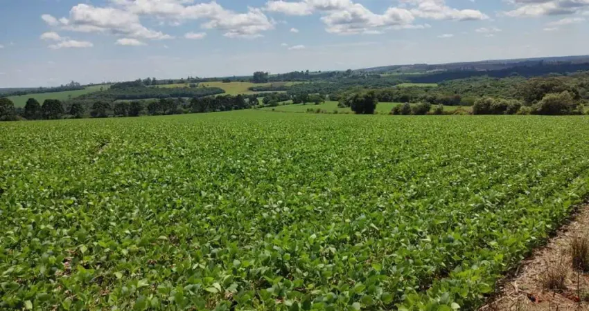 Fazenda à venda na Rua Altino Arantes, 1, Centro, Capão Bonito