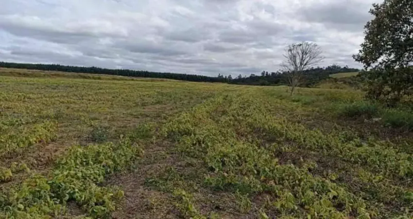 Chácara / sítio à venda na Estrada Itapetininga, Centro, Itapetininga