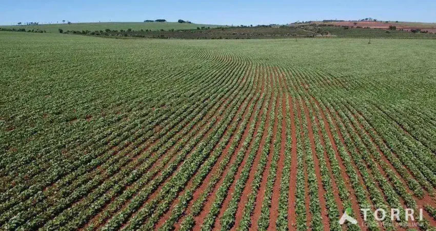 Fazenda à venda na Estrada Municipal Municipal João Pedro Valim de Carvalho Macedo, 56, Centro, Itaí
