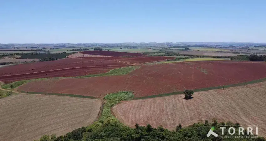 Fazenda à venda na Rua João Antônio de Oliveira, 555, Centro, Itaí