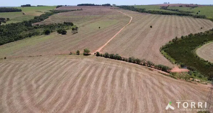 Fazenda à venda na Rodovia Raposo Tavares, 33, Centro, Avaré