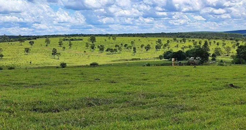 Fazenda à venda na Rodovia Castelo Branco, 10, Zona Rural, Bofete