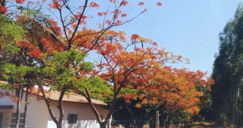 Fazenda à venda na MG-188, 10, Centro, Unaí