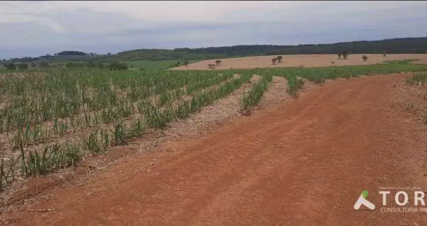 Excelente fazenda em cana à venda na região de Tatuí/SP