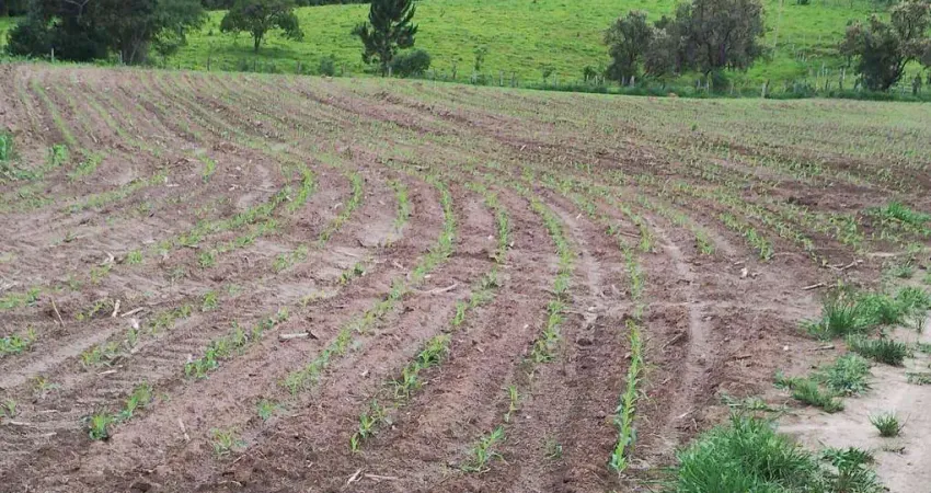Fazenda à venda na Estrada Itapetininga, 15151, Jardim Cruzeiro do Sul, Itapetininga