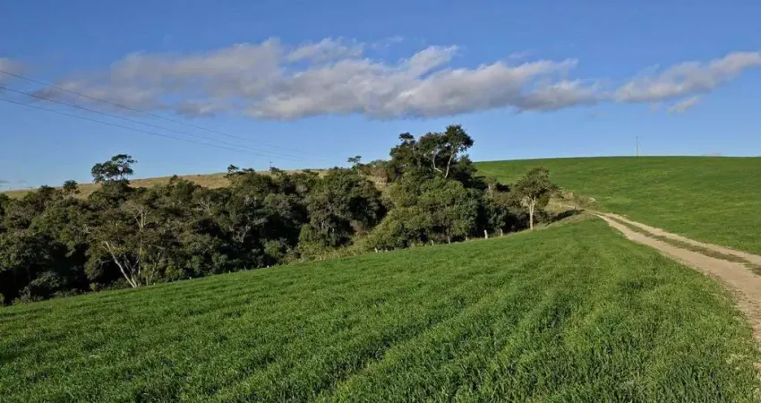 Fazenda 1161600 m² á venda na região de Itapetininga SP