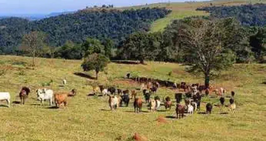 Fazenda 2879800 m² á venda na região de Botucatu SP