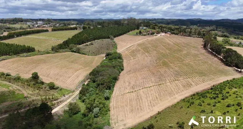 Chácara / sítio à venda na Rua Manoel Fogaça, 10000, Centro, São Miguel Arcanjo