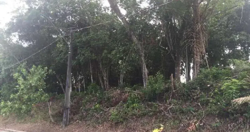 Terreno à venda na Avenida Sócrates Bonfim, 1538, Ponta Negra, Manaus
