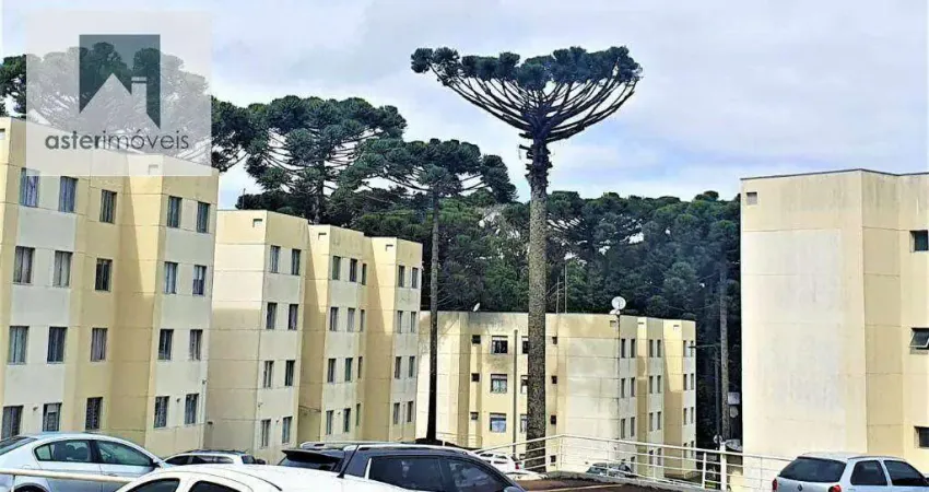 Apartamento 2 quartos com vaga de garagem - cond ilha dos pinheiros - cachoeira