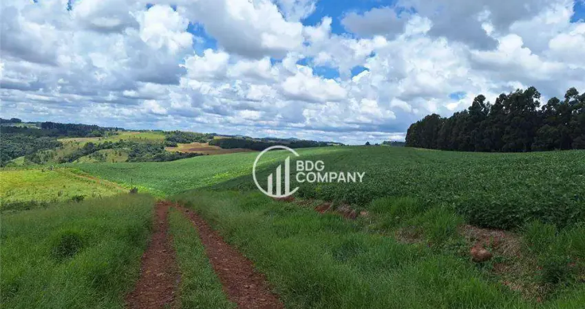 Fazenda com 3 dormitórios à venda, 2150000 m² por r$ 15.000.000,00 - área rural  - goioxim/pr