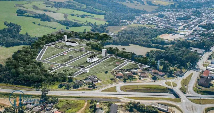 Terreno à venda, 375 m² por r$ 169.020,00 - colônia francesa - palmeira/pr