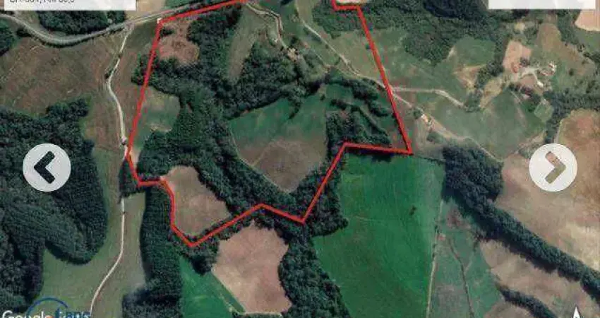 Sítio à venda, 260000 m² por r$ 2.500.000,00 - guamirim - irati/pr