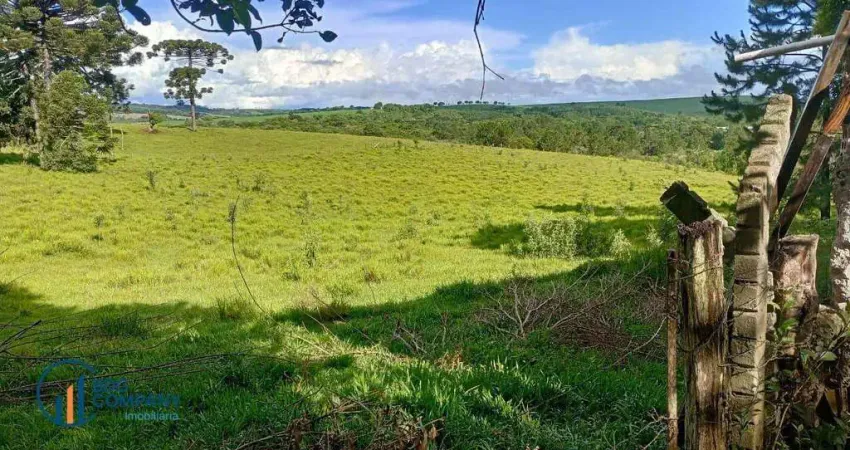 Chácara / sítio com 1 quarto à venda na Área Rural, Zona Rural, Fernandes Pinheiro