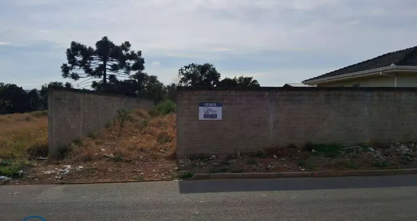 Terreno à venda, 490 m² por R$ 185.000,00 - Uvaranas - Ponta Grossa/PR