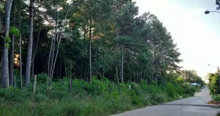Terreno à venda na Rua Alberto Adolpho Fruchtenicht, 7, Campestre, São Leopoldo