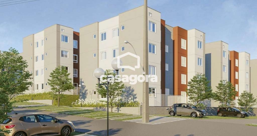 Apartamento com 2 dormitórios à venda- Lamenha Grande - Almirante Tamandaré