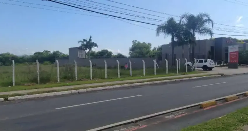 Terreno comercial à venda na Avenida Imperatriz Leopoldina, 1590, Pinheiro, São Leopoldo
