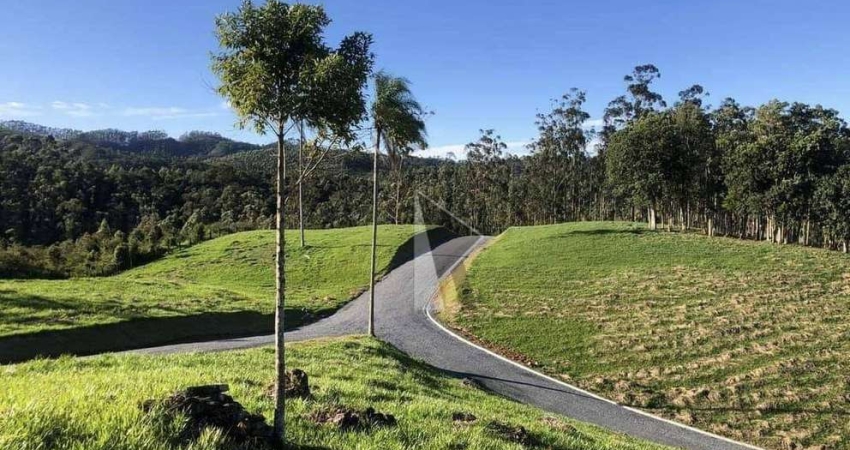 Chácara com 1 dormitório à venda, 1 m² por R$ 350.000,00 - Tijipio - São João Batista/SC