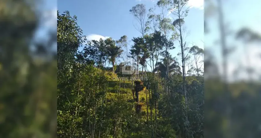 Chácara / sítio à venda na Zona Rural, Campina Grande do Sul 