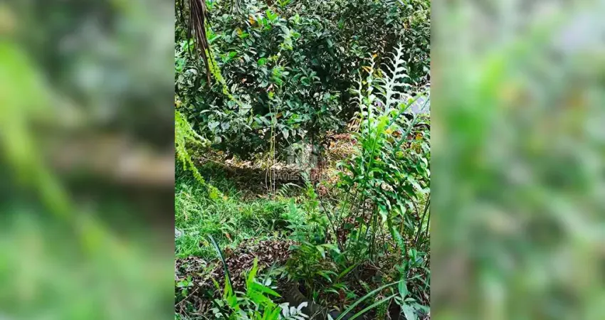 Chácara / sítio com 3 quartos à venda na próx. à BR-116, Zona Rural, Campina Grande do Sul