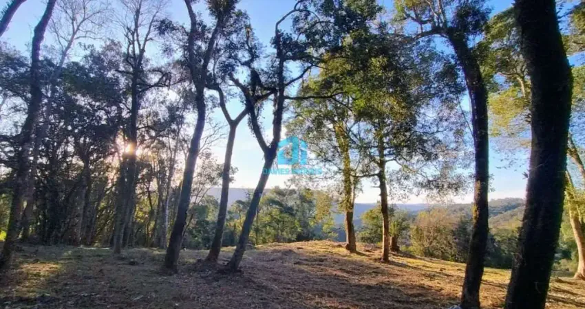 Chácara / sítio à venda na Estrada São João do Povinho, 01, Três Córregos, Campo Largo